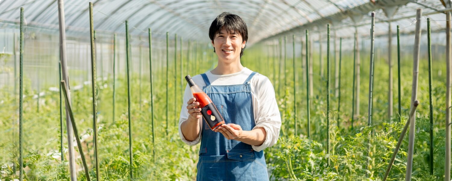 トマトハウスでOpusNos8246を持つ生産者